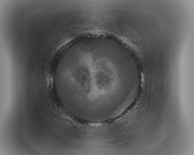 X0000116871302200912221358