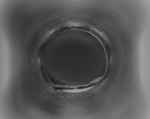 X0000116871303200912221358