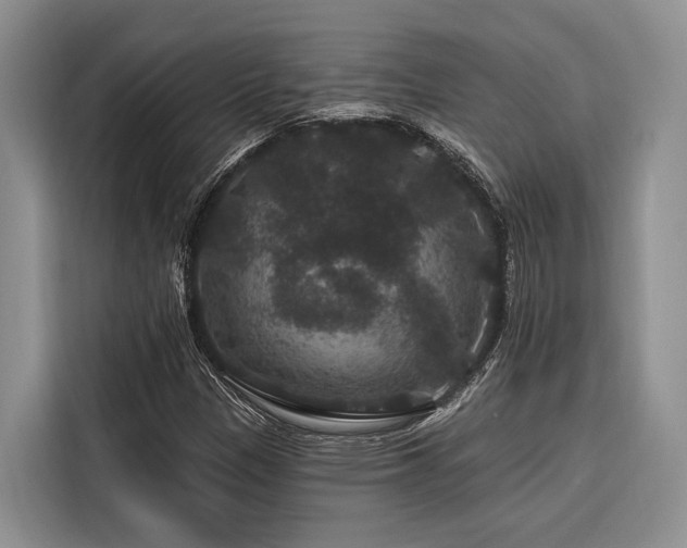 X0000116871305200912221358