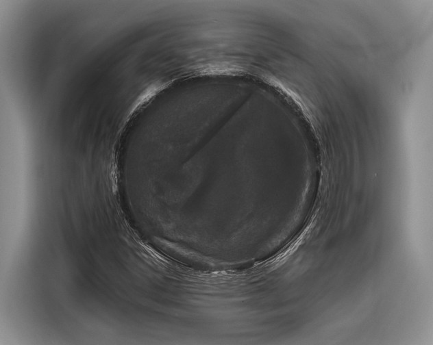 X0000116871306200912221358