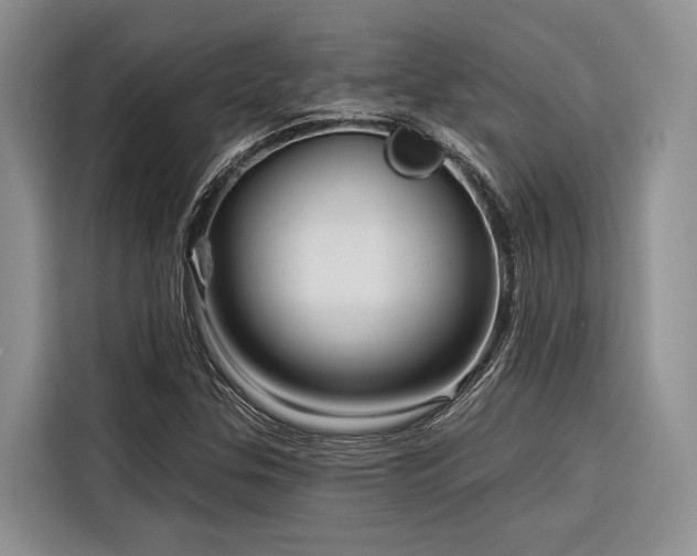 X0000116871307200912221358