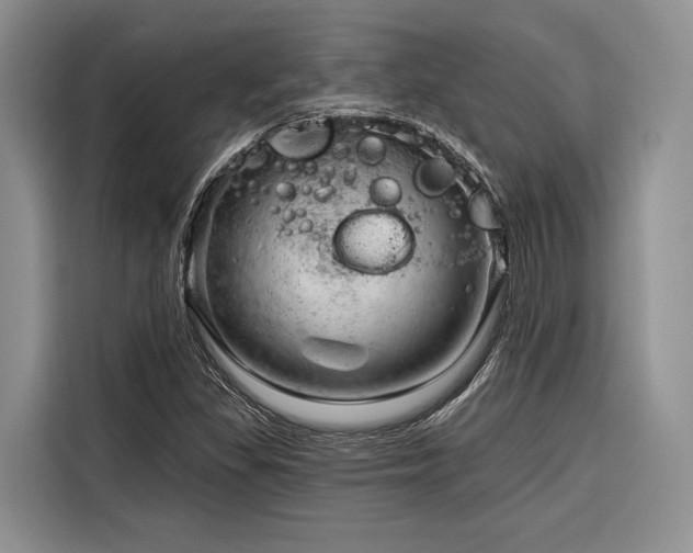 X0000116871309200912221358
