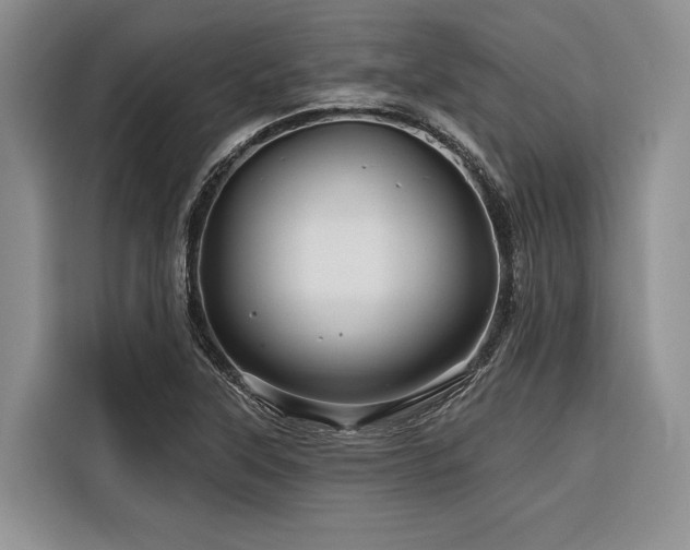 X0000116871315200912221358