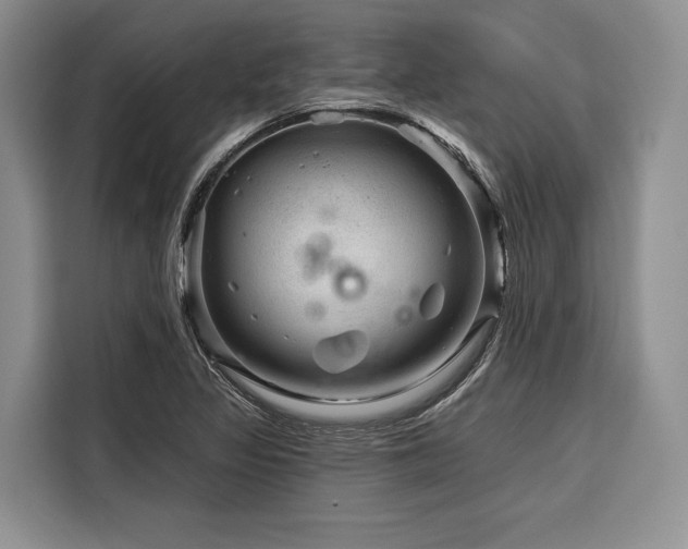 X0000116871317200912221358