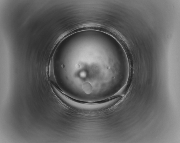 X0000116871321200912221358