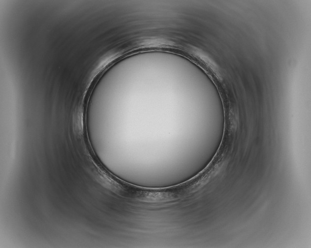 X0000116871322200912221358