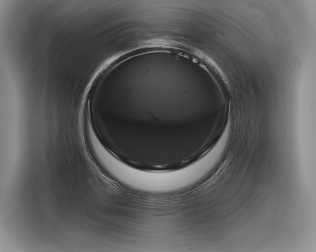 X0000116871323200912221358