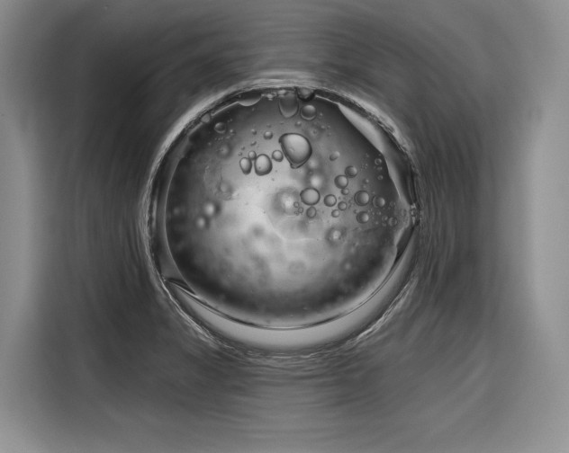 X0000116871325200912221358
