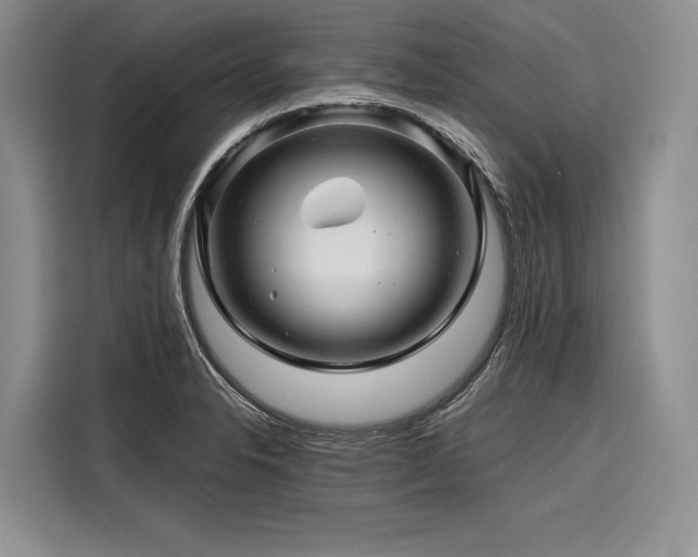 X0000116871326200912221358