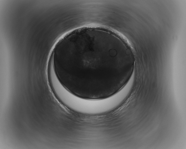 X0000116871327200912221358