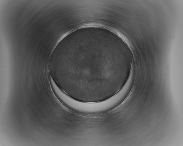 X0000116871329200912221358