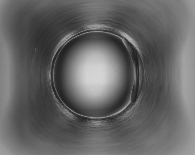 X0000116871330200912221358