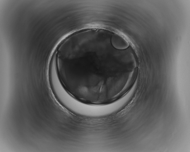 X0000116871331200912221358