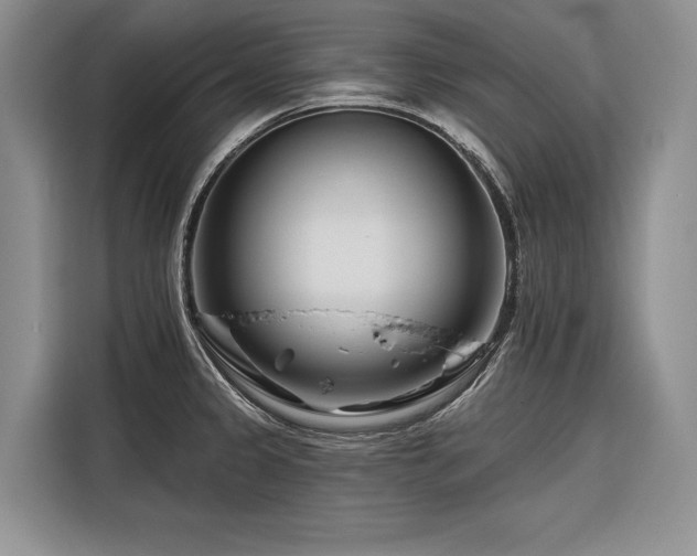 X0000116871333200912221358