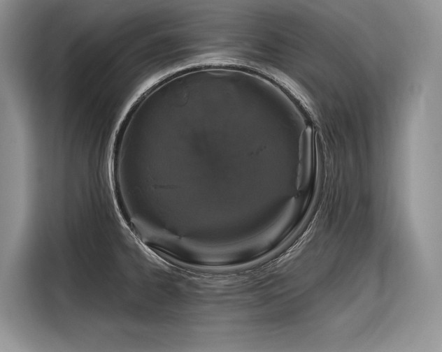 X0000116871334200912221358
