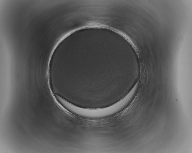 X0000116871335200912221358