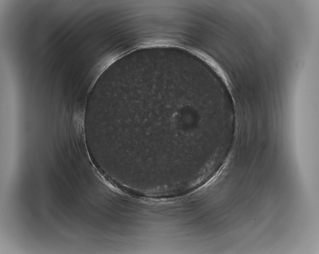 X0000116871337200912221358