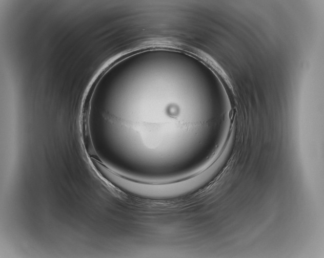 X0000116871339200912221358