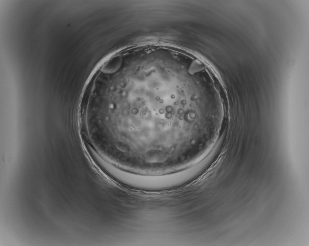 X0000116871341200912221358