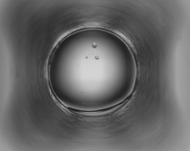 X0000116871342200912221358