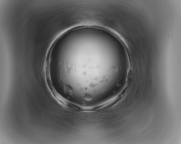 X0000116871343200912221358