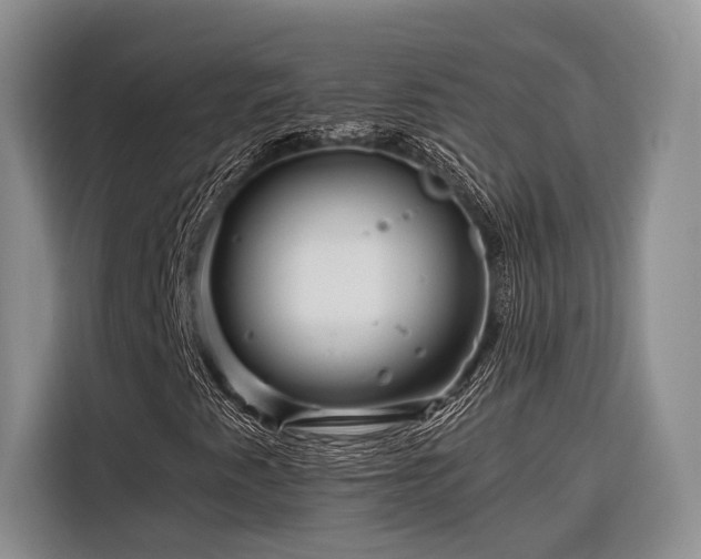 X0000116871345200912221357