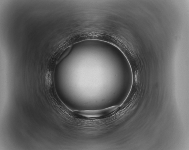 X0000116871347200912221357