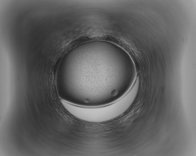 X0000116871348200912221357