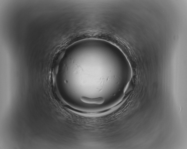 X0000116871349200912221357