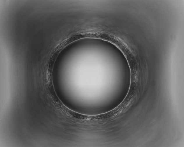 X0000116871350200912221357