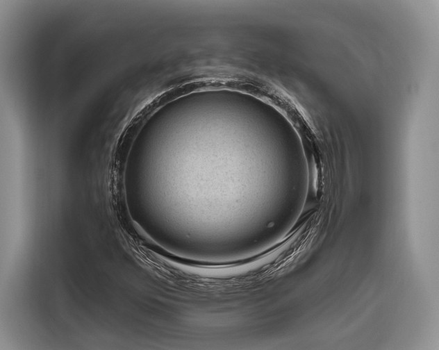 X0000116871352200912221357