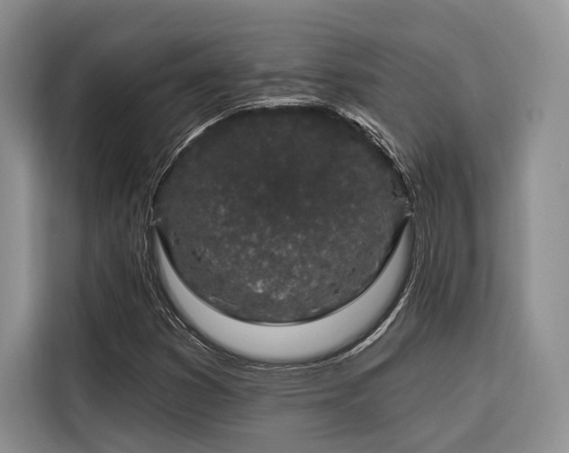 X0000116871353200912221357