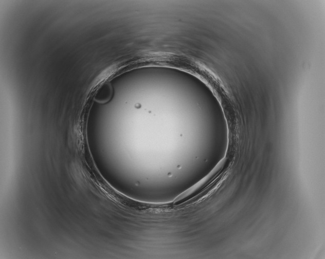 X0000116871354200912221357
