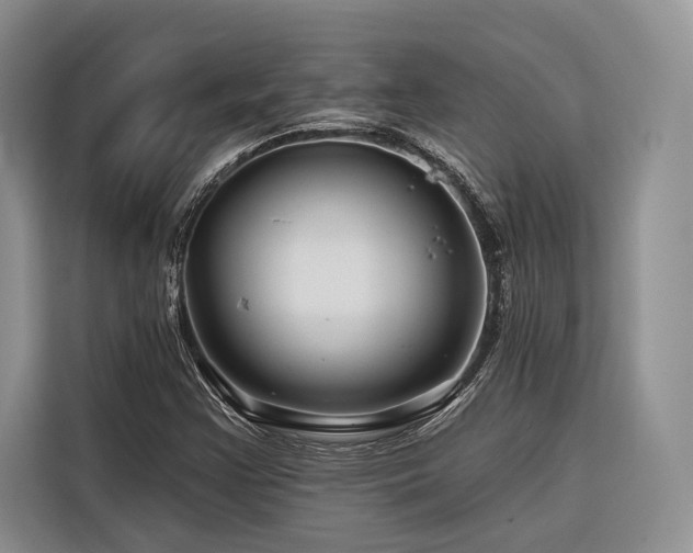 X0000116871355200912221357