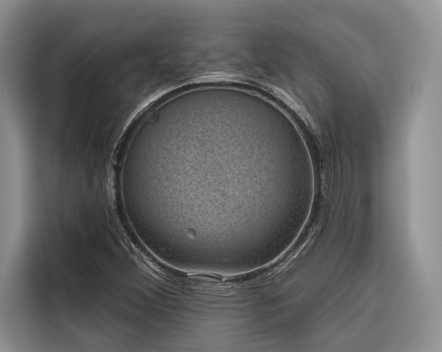 X0000116871356200912221357