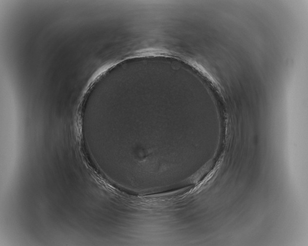 X0000116871358200912221357