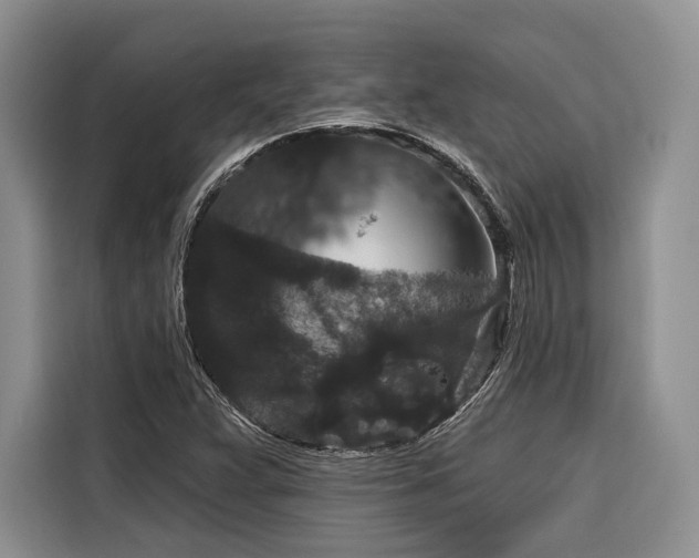 X0000116871359200912221357