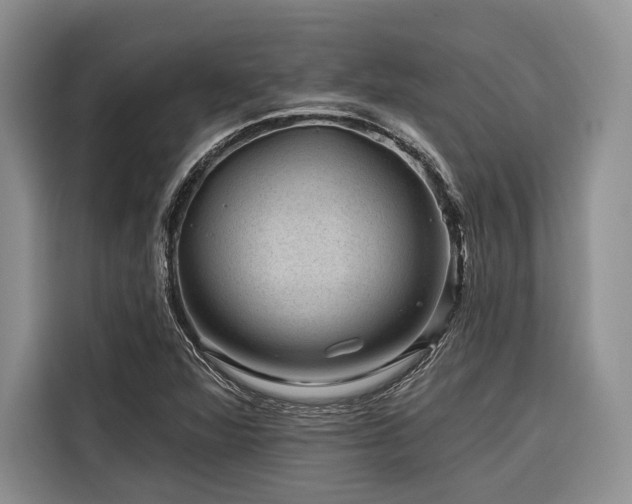 X0000116871360200912221357