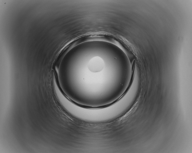 X0000116871361200912221357