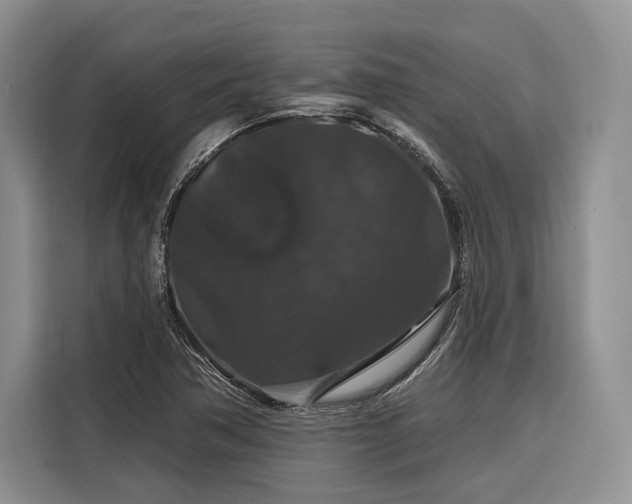 X0000116871362200912221357