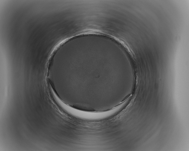 X0000116871363200912221357