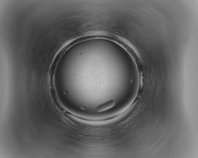 X0000116871364200912221357