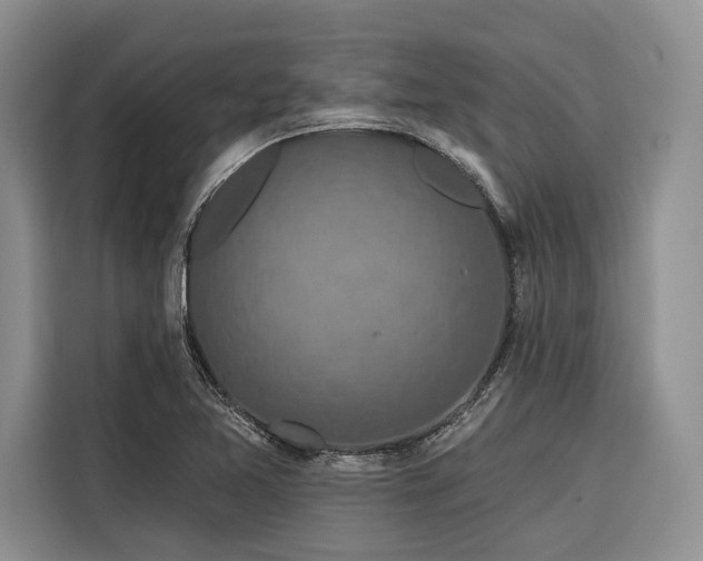 X0000116871365200912221357