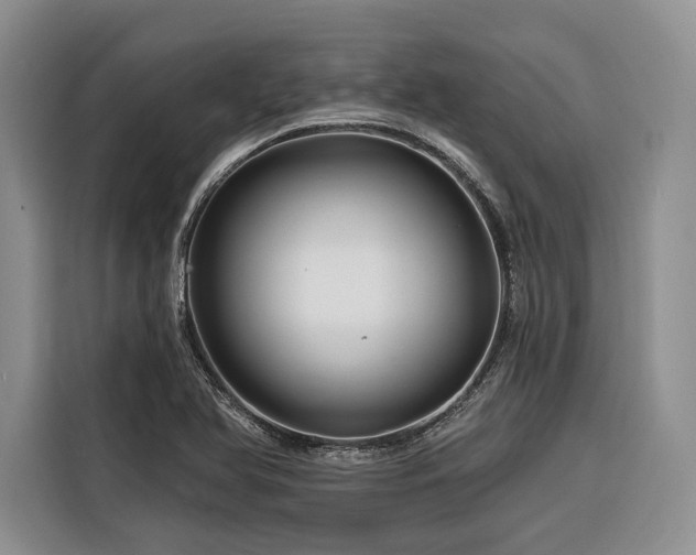 X0000116871366200912221357