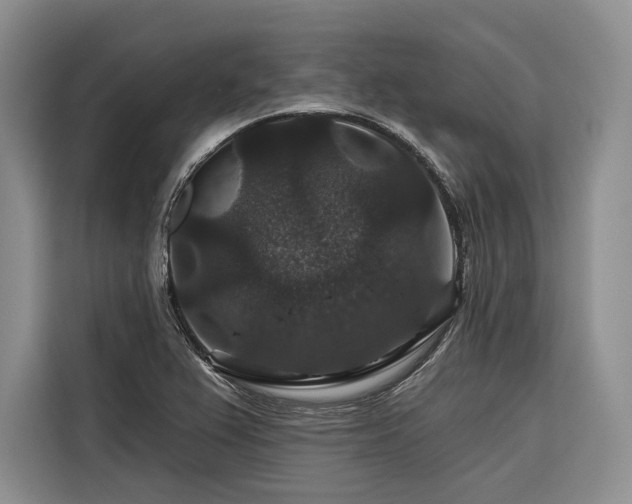 X0000116871367200912221357