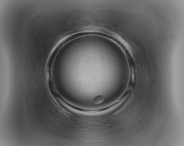 X0000116871368200912221357
