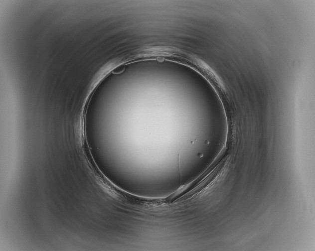 X0000116871370200912221357