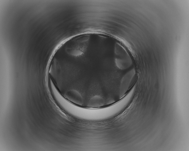 X0000116871371200912221357