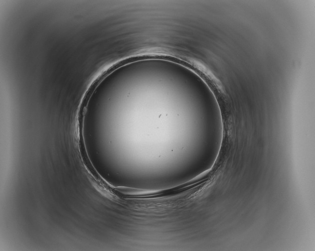 X0000116871372200912221357