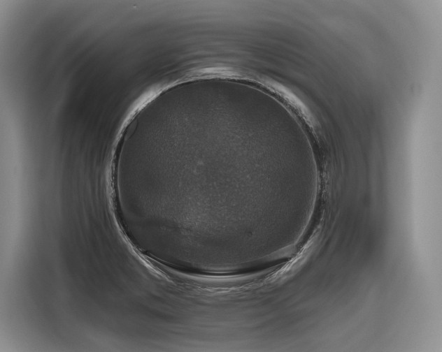 X0000116871373200912221357
